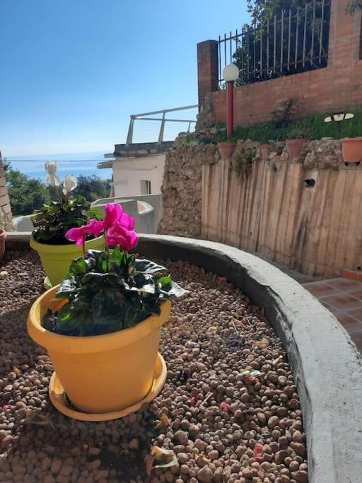 Torre Del Meridiano Casa Vacanze Centrale 泰尔莫利 外观 照片